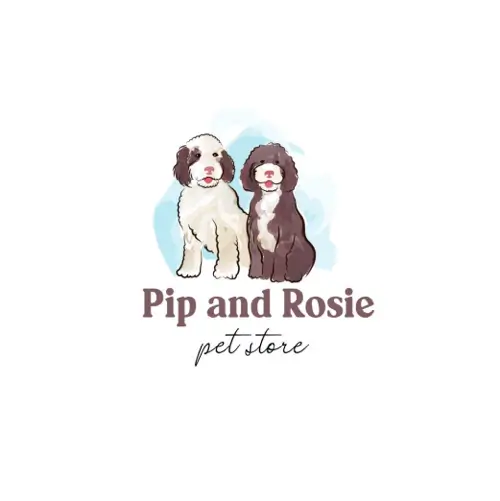 sds-logo-portfolio-c2p-07.webp